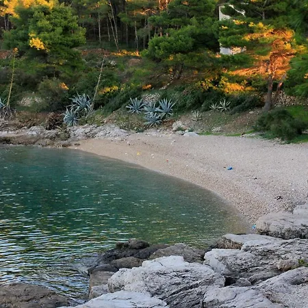 Апартаменты 2441a *