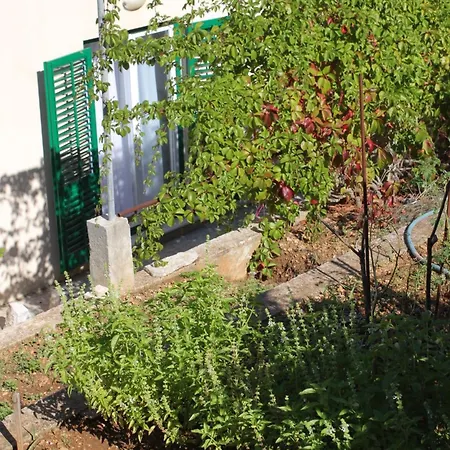 2441a Апартаменты *