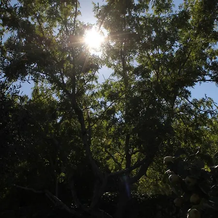 2441a Апартаменты *