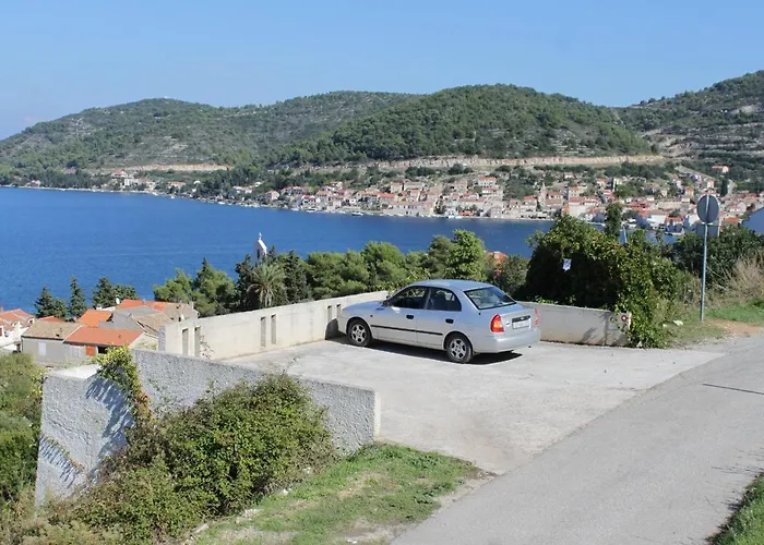 2441a * Vis